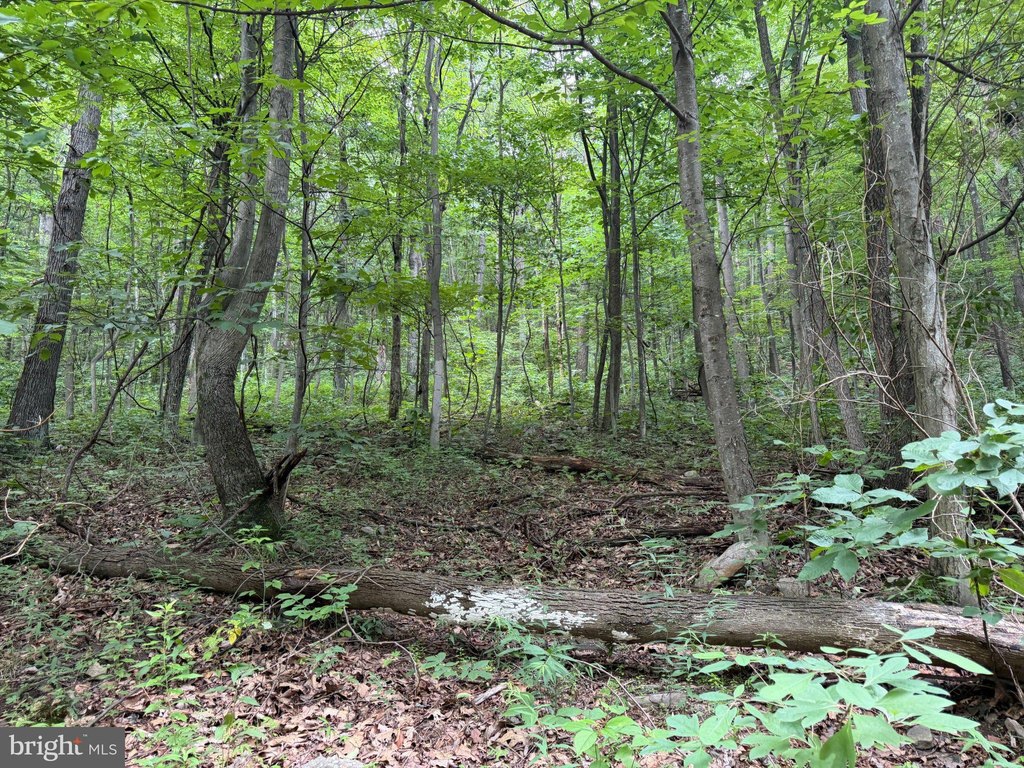 Picture 14