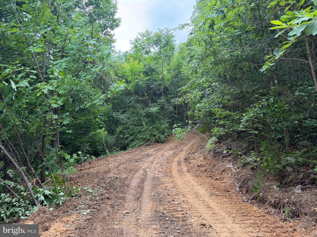 Picture 5
