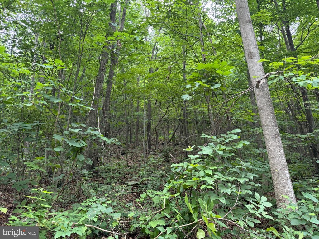 Picture 21
