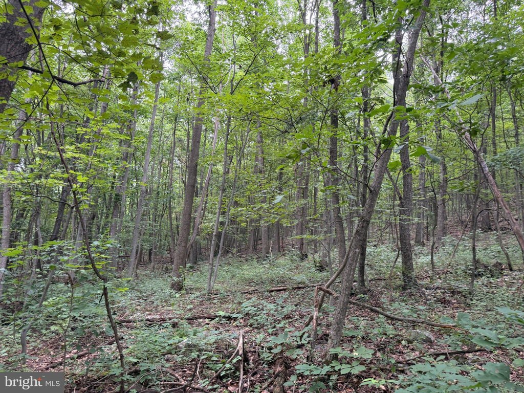 Picture 27