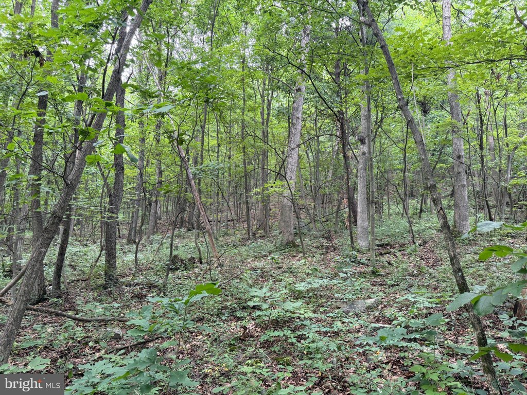 Picture 26