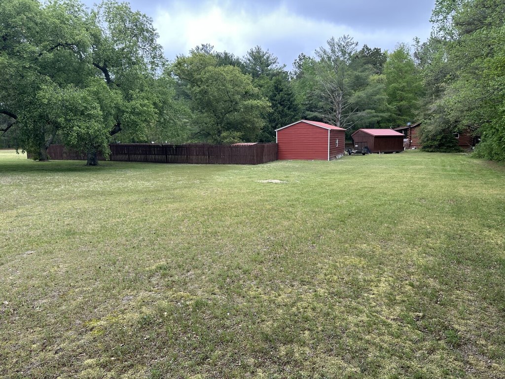 Picture 9