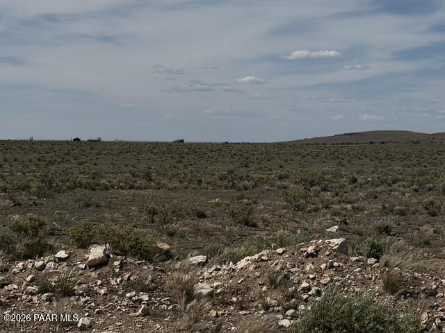 Picture 7
