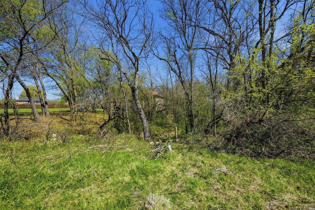 Picture 30