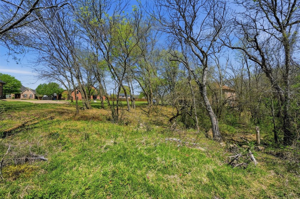 Picture 28