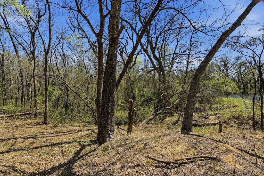 Picture 29