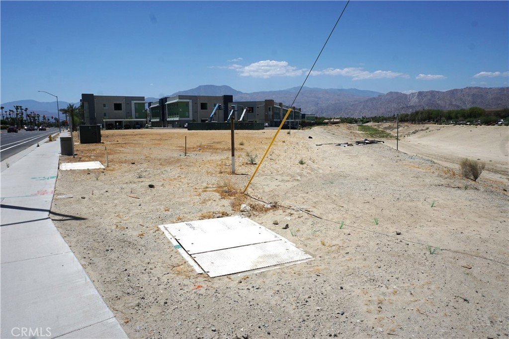 Picture 5
