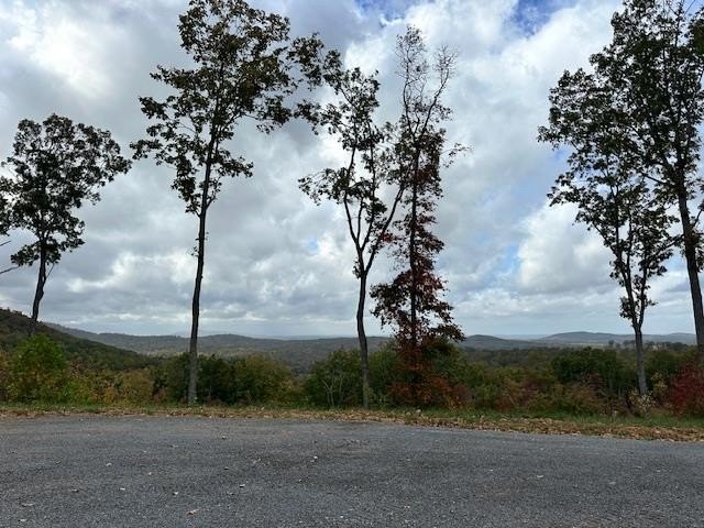 Picture 12