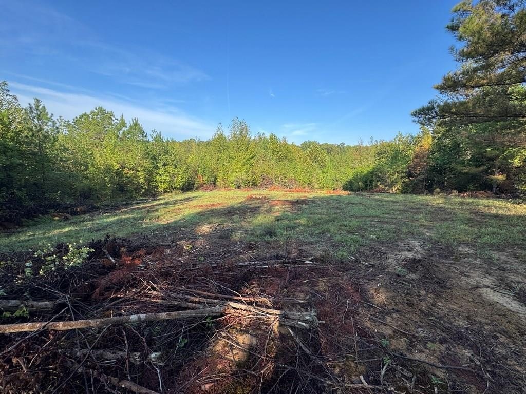 Prime Lafayette County Land Tract