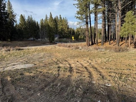 Commercial Lot in Portola, CA