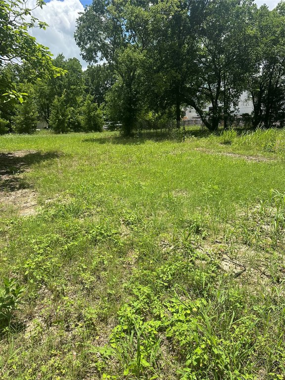 Picture 6