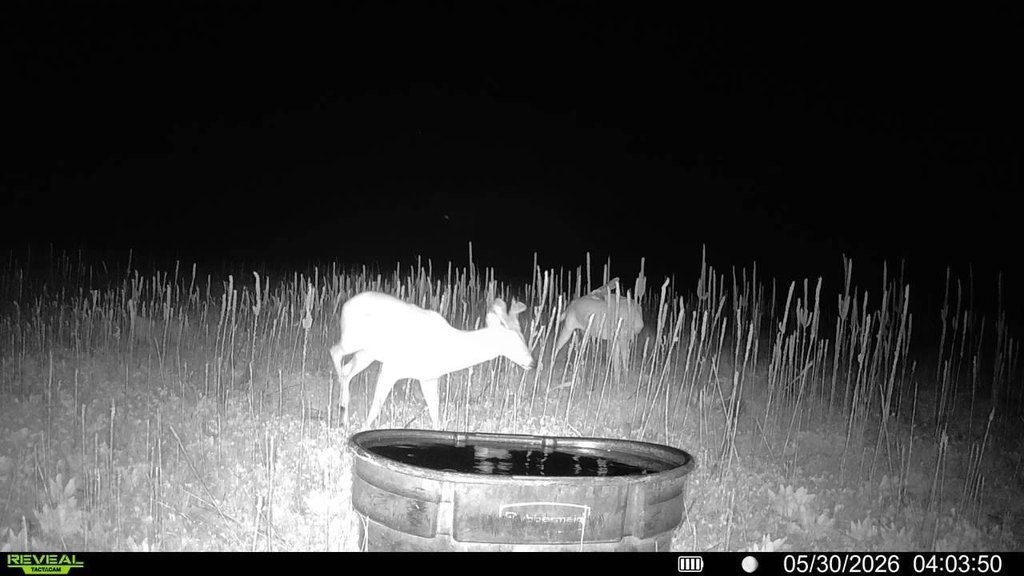 Picture 2