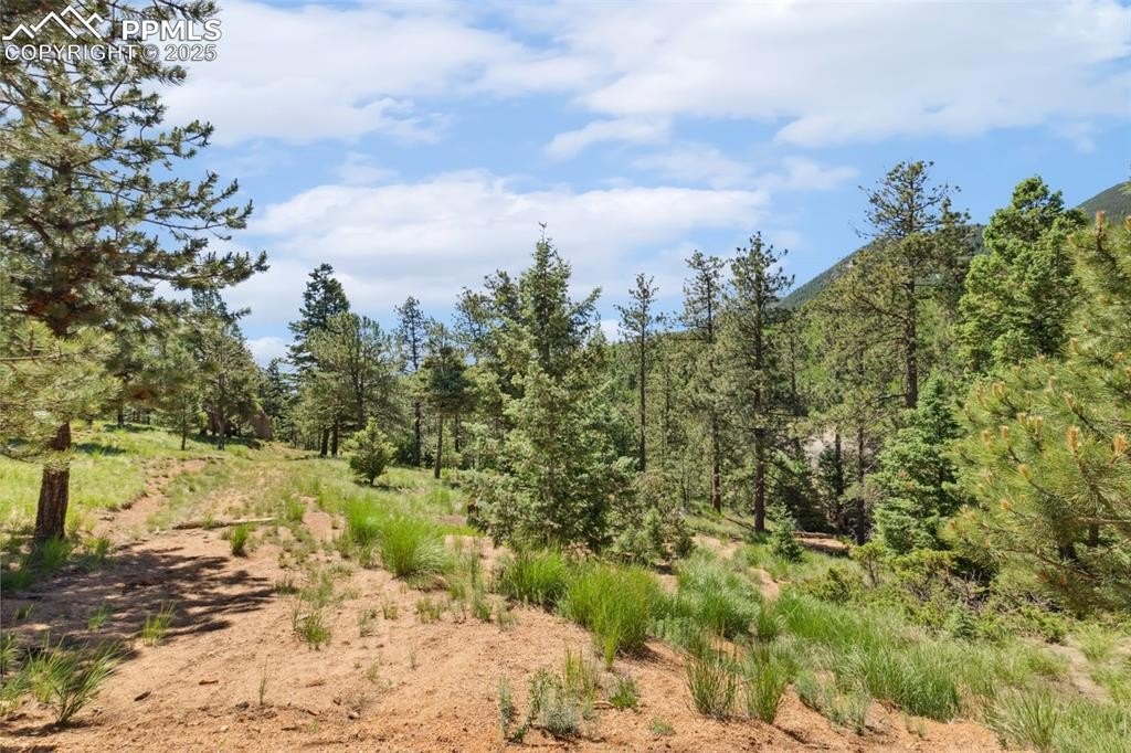 Land in Gated Crystal Park