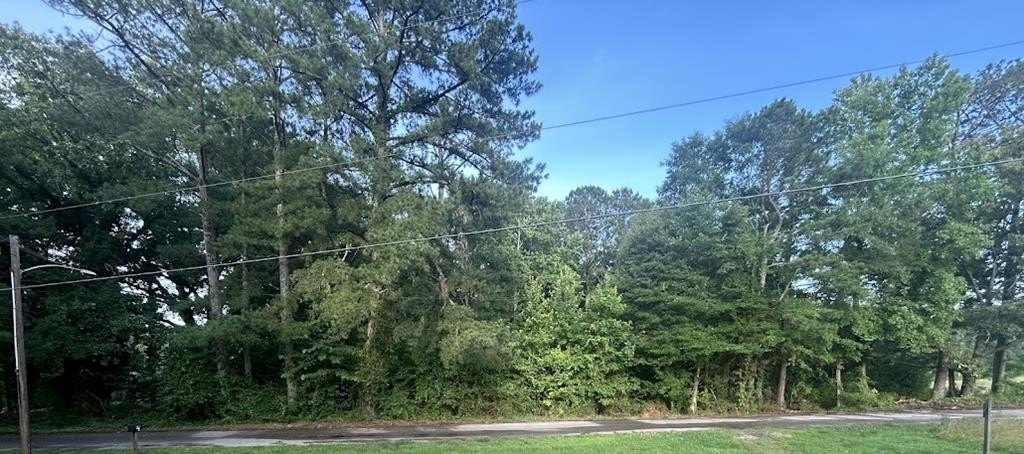 Picture 4