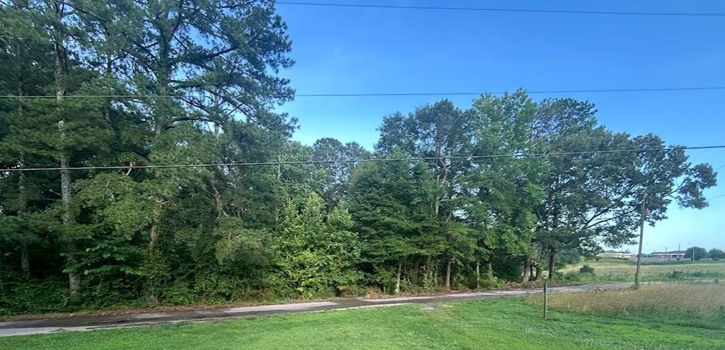 Picture 2