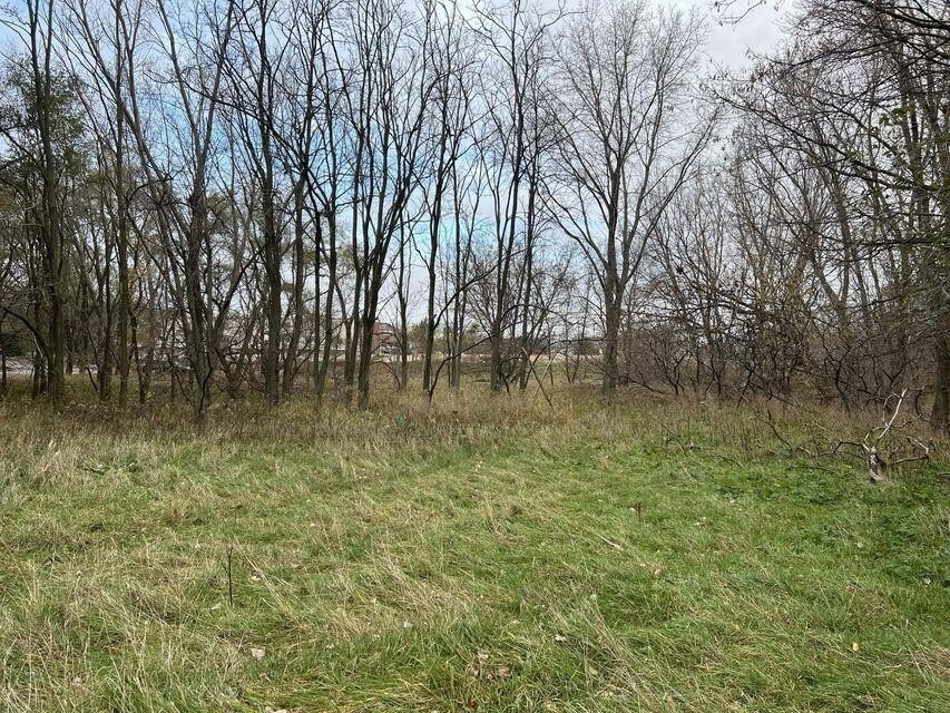 Picture 5
