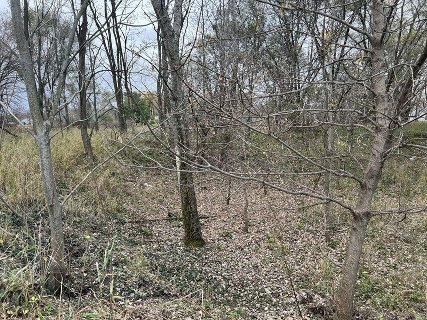 Picture 11