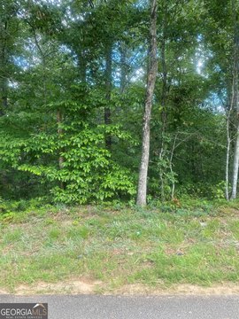 Acre Lot in Flowery Branch