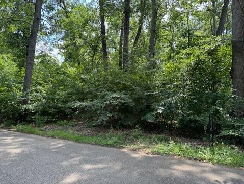 Spacious Lot in Grand Beach