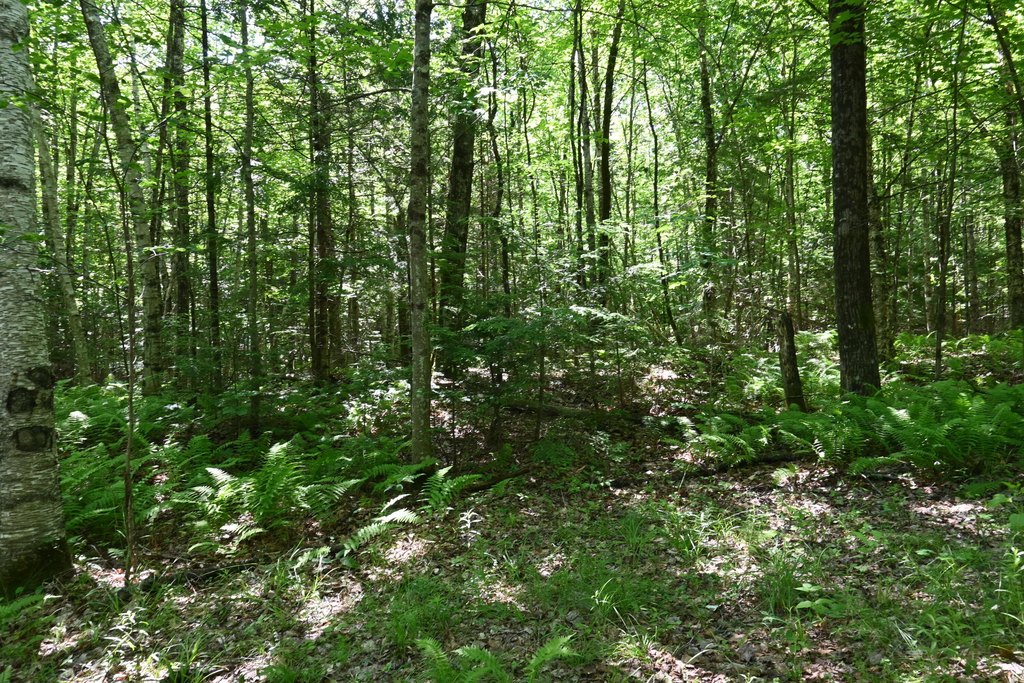 Picture 6