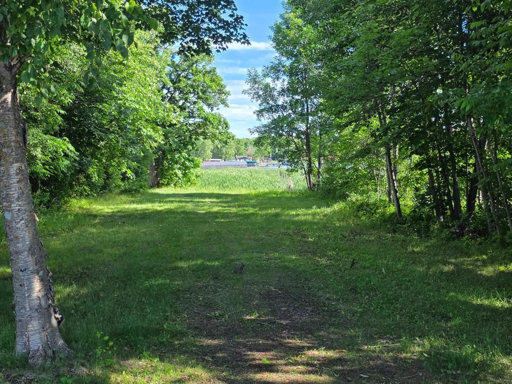 Picture 37