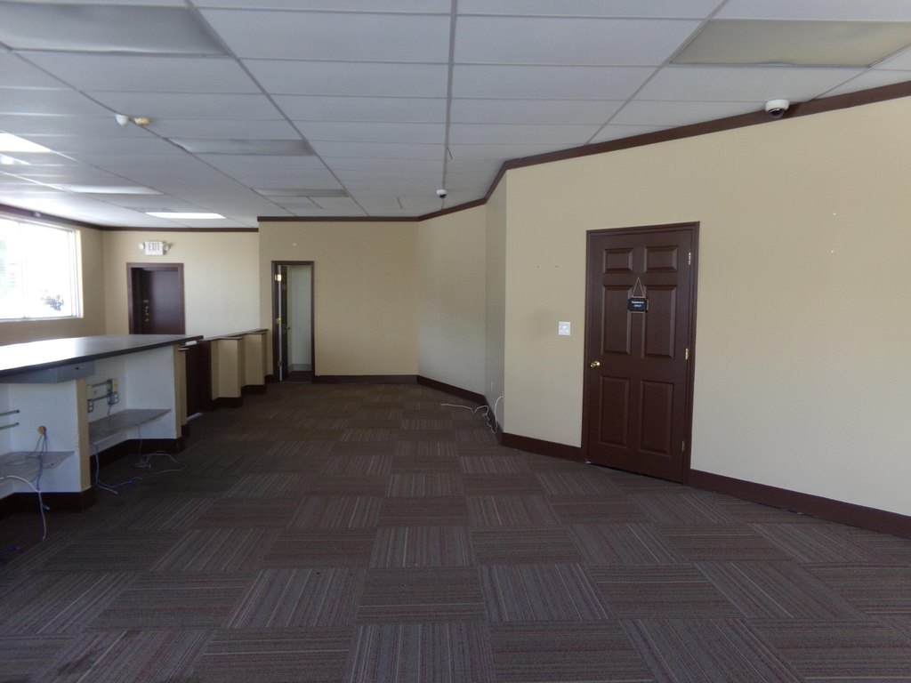 Picture 6