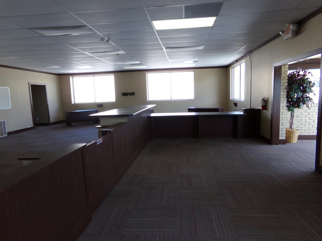 Picture 5