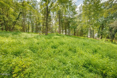 Land, Kingsport, TN