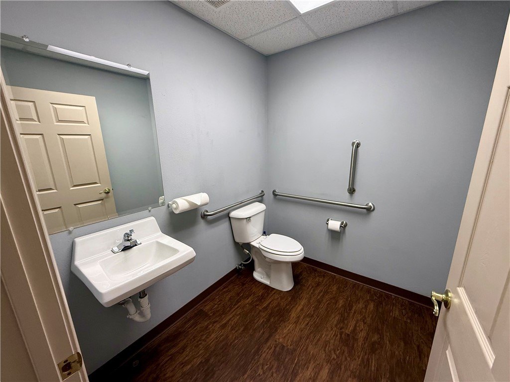 Picture 8