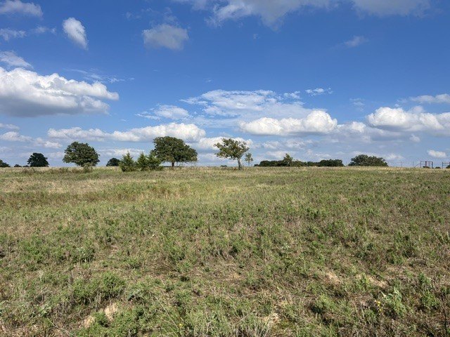 Picture 10