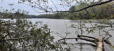 Coan River Land For Sale