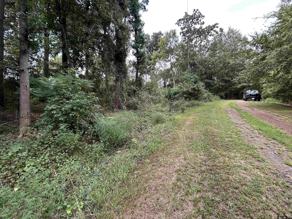 Picture 19