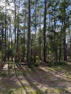 LAND - GEORGETOWN, FL