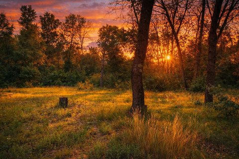 Land Ready for Building