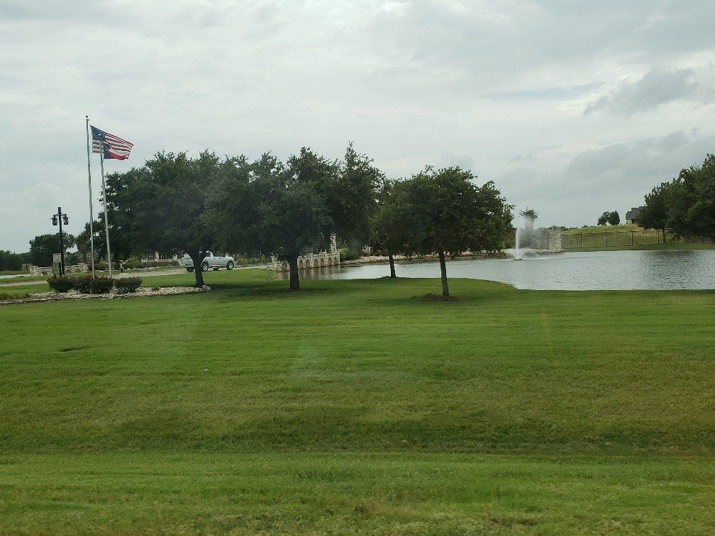 Picture 29