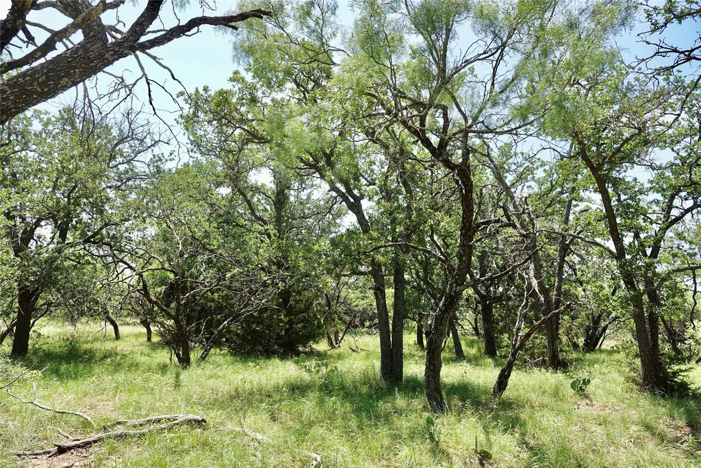 Picture 25