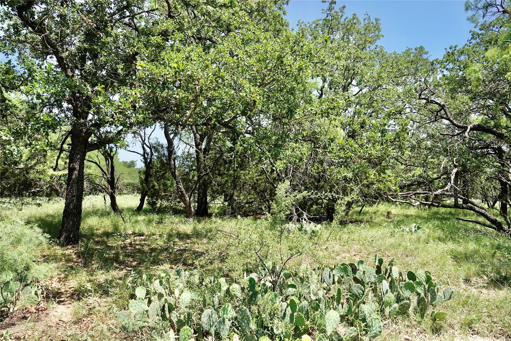 Picture 21