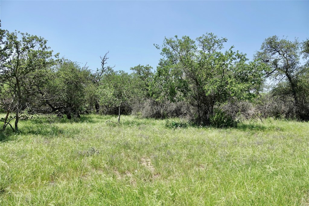 Picture 11