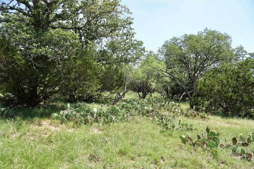 Picture 26