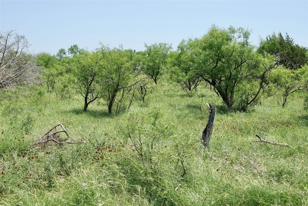 Picture 27