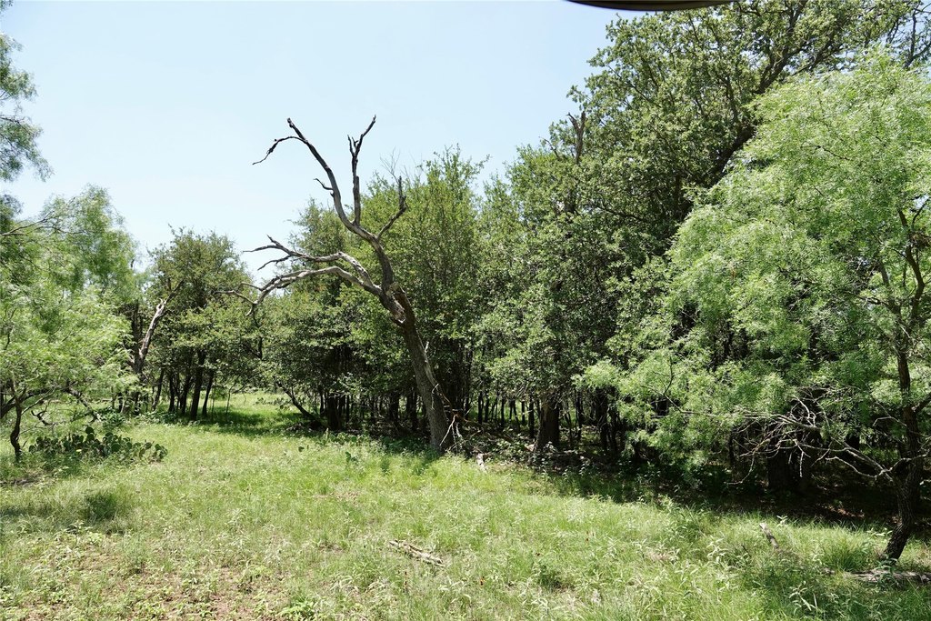 Picture 31