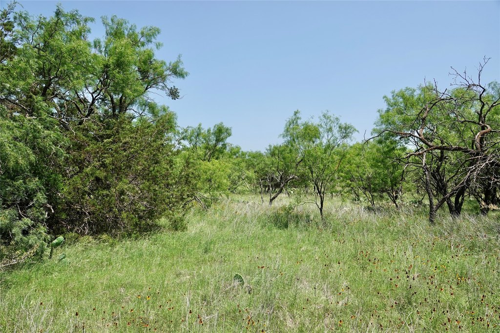 Picture 28