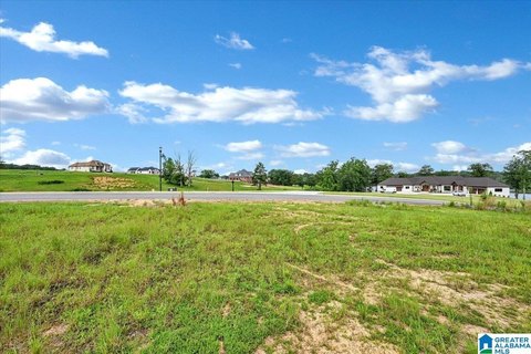 LAND - CULLMAN, AL
