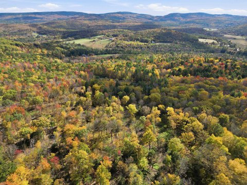 Forested Recreation Land with Pond