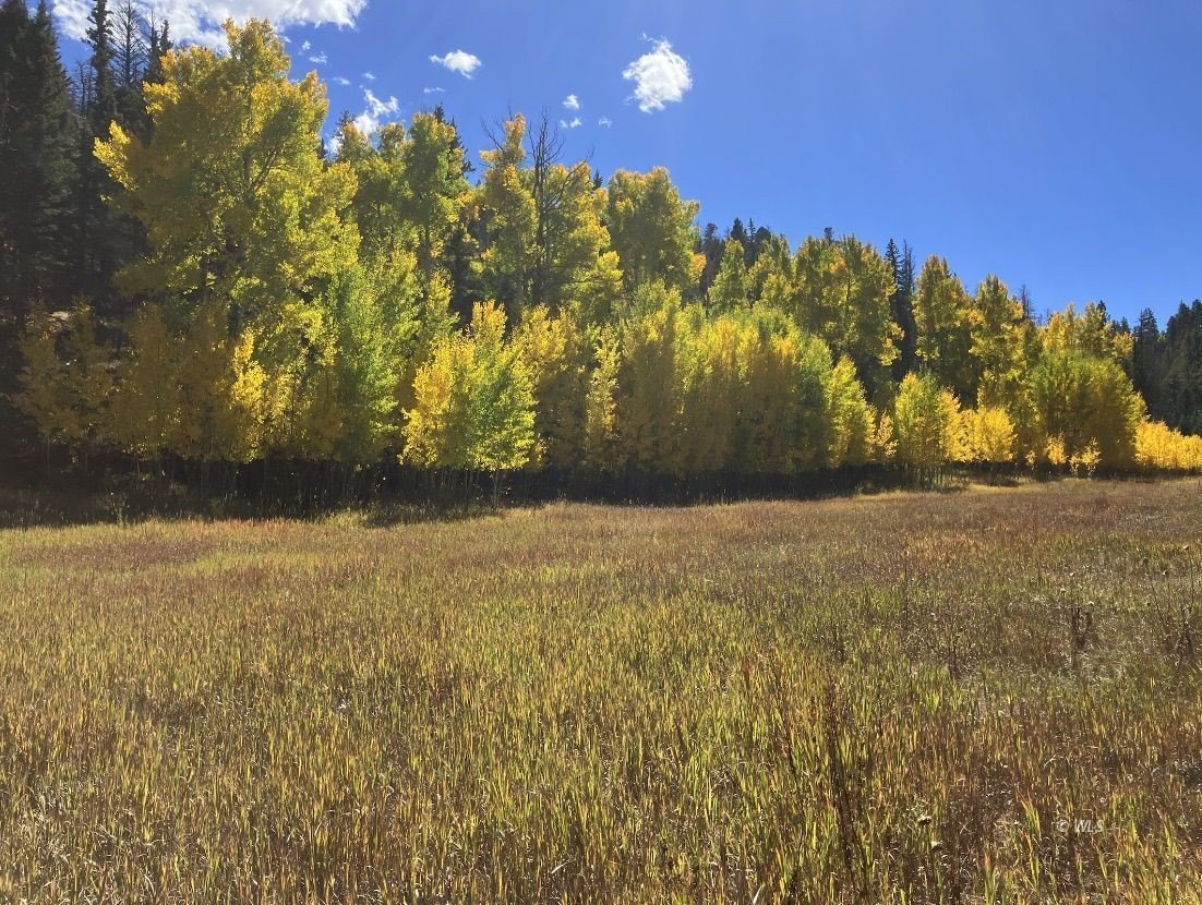 Untamed 132 Acres in Westcliffe
