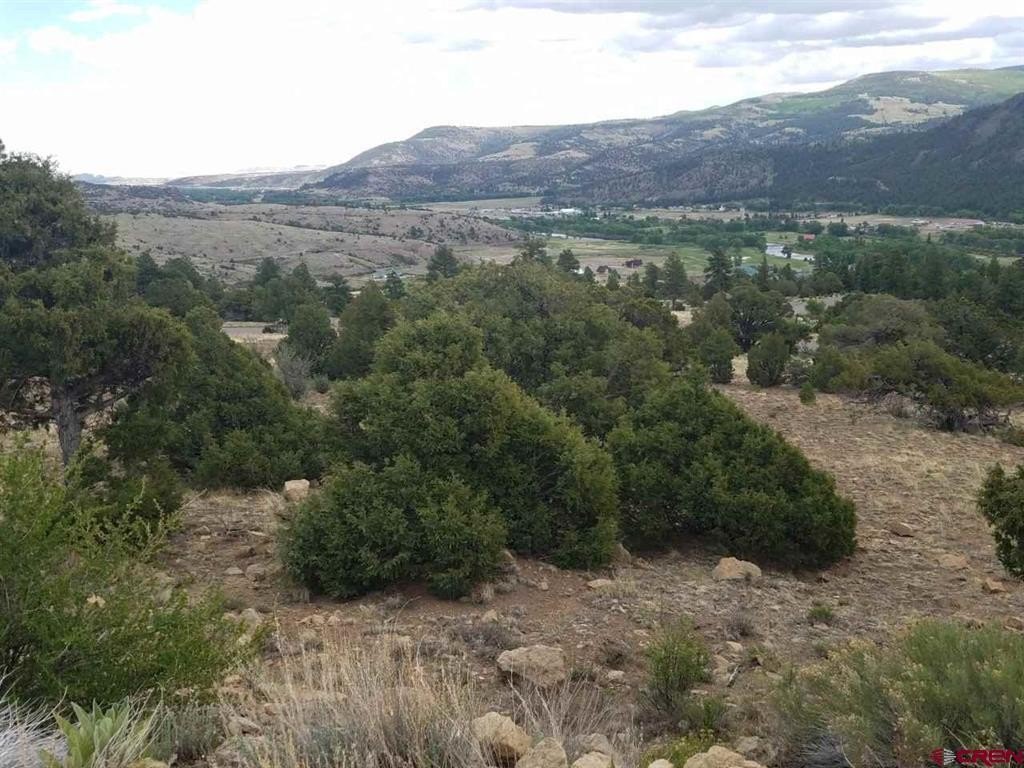 Land For Sale, South Fork