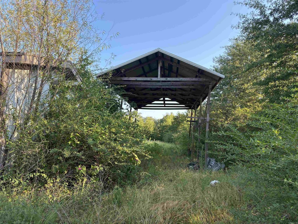 Picture 9