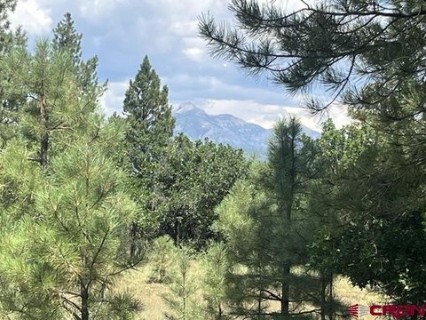 LAND, Pagosa Springs, CO