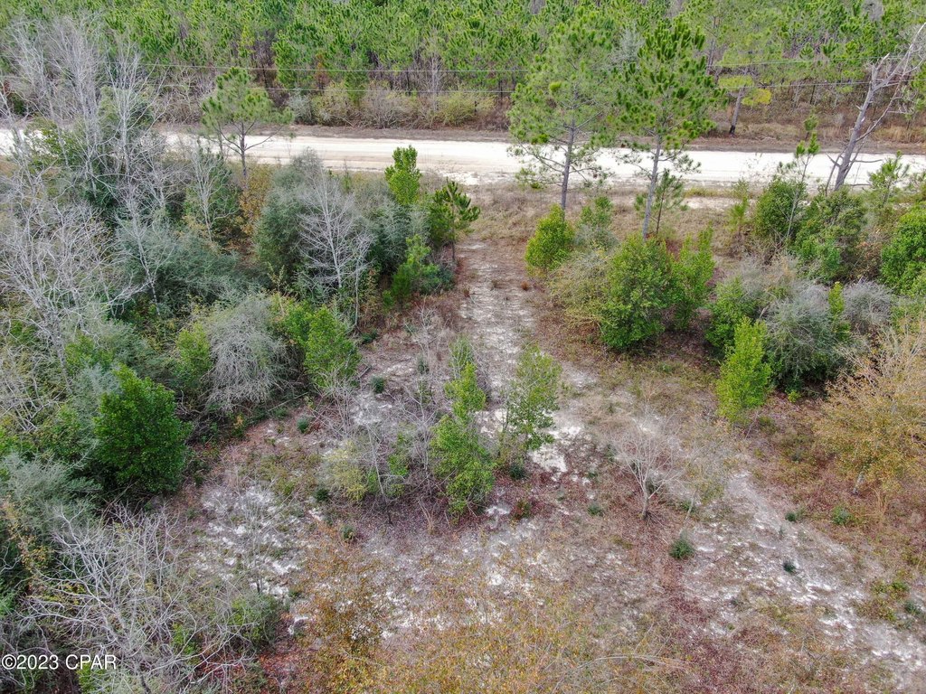Picture 16