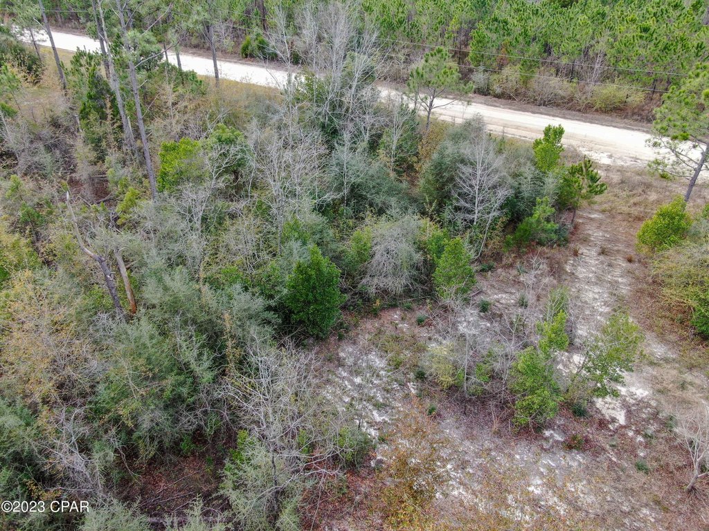 Picture 15